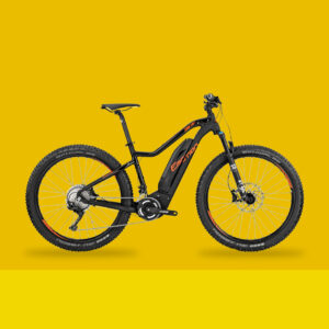 Mountain bike électrique
